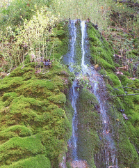 Image of a natural spring.