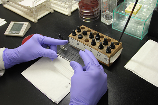 Enteric serotyping checks for Salmonella.