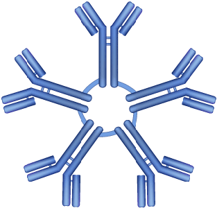 salmonella image